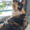 residencia-canina m maria joel 20346b5c-b5d9-43ca-80f5-d205126c9e66