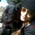 residencia-canina cs raquel b56a49e7-1248-4a6e-959b-5080015a0bb1