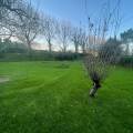 residencia-canina bi oihane 9e204fc3-8abe-4ddc-b401-8e5049b19a19