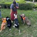 https://es.holidog.com/ImagesPetSitters/049F84F4-F105-435E-A7AA-23377DC60208_square_120.jpg Cuidados-y-amor-a-los-perritos-240119-2