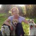 https://es.holidog.com/ImagesPetSitters/09E9272D-93A3-4E76-9E16-E71E93FC6BDC_square_120.jpg el-paraíso-de-todos-los-animales--7811-0