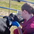 https://es.holidog.com/ImagesPetSitters/09F09FDB-FCBE-4C65-AFA8-A06384717B72_square_120.jpg Futura-veterinaria-de-confianza--240501-3