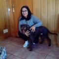 https://es.holidog.com/ImagesPetSitters/0D0D6BC5-21A1-4A8B-AFED-D3A069338BB4_square_120.jpg compañera-de-juegos-y-paseos--68722-1