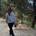 https://es.holidog.com/ImagesPetSitters/107DB38B-0618-4920-A0C0-C75CCD8D98C9_square_120.jpg 254413-2