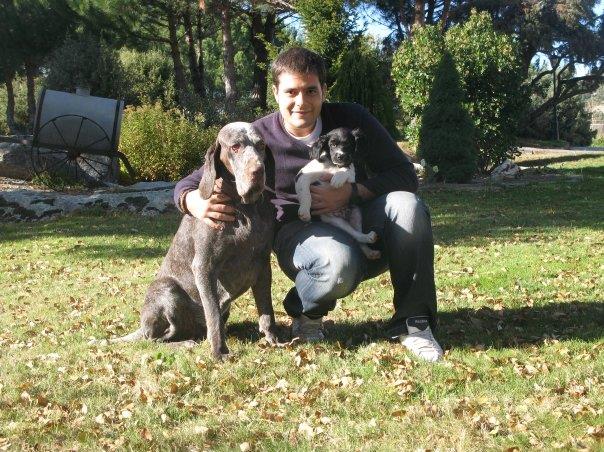 residencia-canina m fco javier 9bfd693c-1f59-4a86-a73f-6277bb2e5406