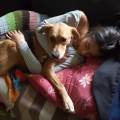 https://es.holidog.com/ImagesPetSitters/12A659B5-21E9-41E0-AA1F-563B30607F3F_square_120.jpg Pawtastic!-108543-0