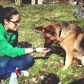 https://es.holidog.com/ImagesPetSitters/1BBA18B8-4387-4446-9798-118AE2B3D72B_square_120.jpg Adiestradora-Canina-Profesional-14090-2