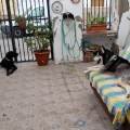 ESTARAN-COMO-EN-CASA-259740-1