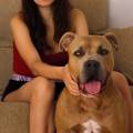https://es.holidog.com/ImagesPetSitters/227DF481-AFB4-424C-8DF4-AAAB57F137EC_square_120.jpg Paula--245191-0