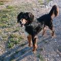 Cuidado-tierno-y-responsable-222361-2