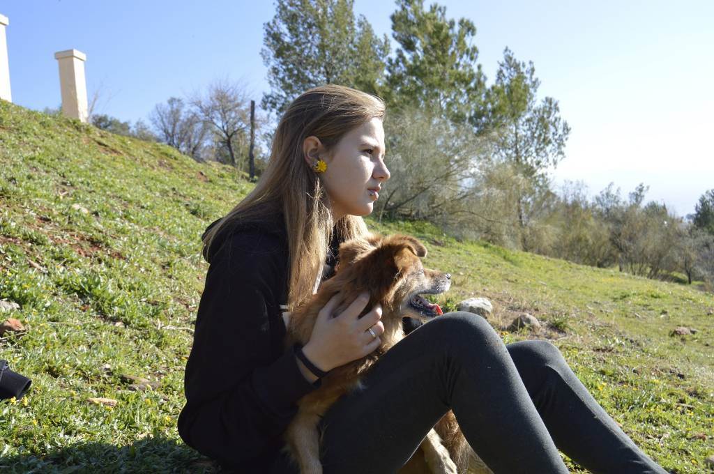 residencia-canina gr ruth 62d7726c-8e07-4e10-92c4-6aee664a4679