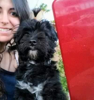residencia-canina gr noelia ff05cb10-7922-4934-b28a-54f0bdf0c277