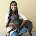 https://es.holidog.com/ImagesPetSitters/2C6A398B-AA53-4ACB-96AA-F0819DBAEACE_square_120.jpg Tu-mascota-conmigo-como-en-casa.-190916-0
