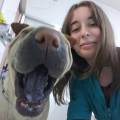 https://es.holidog.com/ImagesPetSitters/35C97D2C-20A3-49BB-B83E-2A86379C1D43_square_120.jpg Free-time-=-Happy-dogs-14374-0