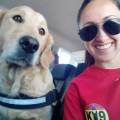 https://es.holidog.com/ImagesPetSitters/36F89597-10AB-421C-8704-3407DE64FA53_square_120.jpg Todo-para-su-mascota-75600-0