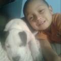 https://es.holidog.com/ImagesPetSitters/3A77C70A-6F80-43D3-81D2-853258EB9685_square_120.jpg Amo-los-perros--242625-2
