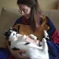 Alma-de-gato-y-corazón-de-perro-86819-3