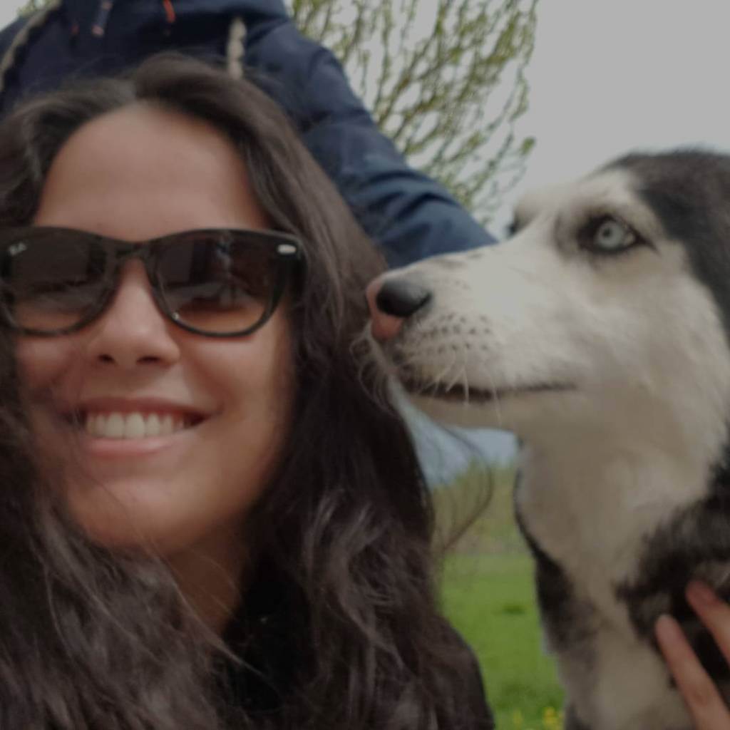 residencia-canina na ana clara d0386fb4-35a0-41f2-b8b2-606c3f9b34fd