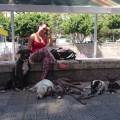 https://es.holidog.com/ImagesPetSitters/44A1D06F-037C-4F20-89B9-E50D7D3A1D3E_square_120.jpg Conductora-Canina-32288-2