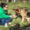 https://es.holidog.com/ImagesPetSitters/45CE46DD-FB43-4BA0-885E-3D0ADAF465CD_square_120.jpg Adiestradora-y-Auxiliar-Veterinaria-52928-0