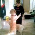 https://es.holidog.com/ImagesPetSitters/4AD43FEF-EDB1-42D0-8E1D-281640686AA0_square_120.jpg Paradise-for-perros-25329-1