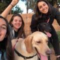 https://es.holidog.com/ImagesPetSitters/4B09370D-53B5-454A-A90B-C1CD1DE5C00D_square_120.jpg Niebs-and-friends-118893-0