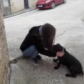 https://es.holidog.com/ImagesPetSitters/4B9BD74F-F8CB-4F2B-BA89-C3FBCF1BC674_square_120.jpg El-paraiso-de-los-perros-14433-3