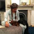 https://es.holidog.com/ImagesPetSitters/4CE4727A-0EDB-4FE4-8365-96B8ABEA56AF_square_120.jpg El-Palacio-de-Perros-245049-2