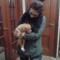 https://es.holidog.com/ImagesPetSitters/4FFEB636-A675-4146-B13C-71C479EB619A_square_120.jpg En-contacto-con-los-animales-21566-1