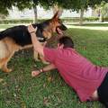 https://es.holidog.com/ImagesPetSitters/507F32F3-7A8F-498E-90D3-C10B81FC3949_square_120.jpg Tu-mejor-amigo-en-las-mejores-manos-243225-1