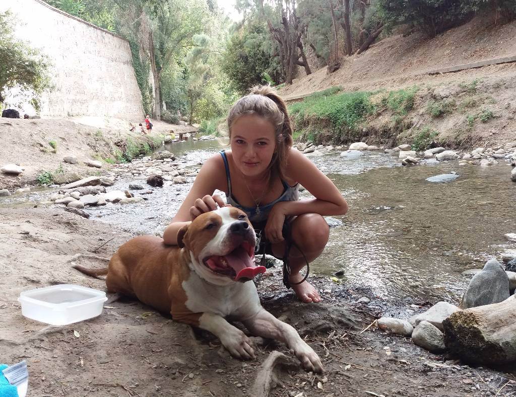 residencia-canina gr ruth ca32bda0-cc92-403b-9b38-c0a3893cf0e2