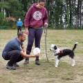 https://es.holidog.com/ImagesPetSitters/51913195-FE1F-4552-9C1C-2C0757A78AF8_square_120.jpg Adiestradora-y-Auxiliar-Veterinaria-52928-3