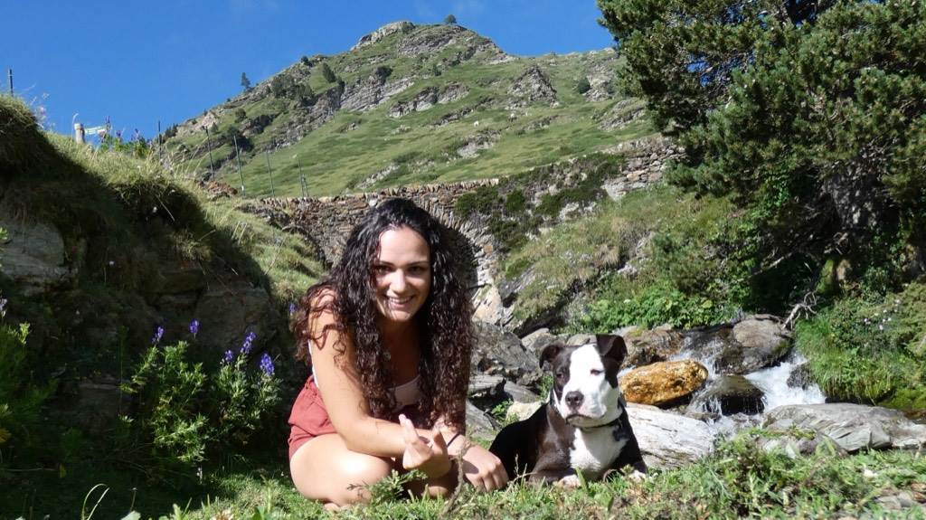 residencia-canina t raquel 35dc04b4-d440-4f0a-960b-20ba659dca2d
