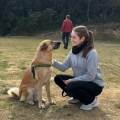 https://es.holidog.com/ImagesPetSitters/5B1D0AC2-C40A-49E6-8702-D64CB7D14D86_square_120.jpg 254413-0