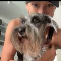 Cuidadora-de-perros-248338-3