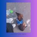Cuido-a-tu-mascota-250045-1