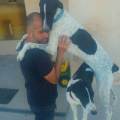https://es.holidog.com/ImagesPetSitters/68B111BE-FE6E-424A-A5AC-0F0C93C9C6A0_square_120.jpg Paseos-divertidos-89439-0
