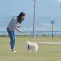 https://es.holidog.com/ImagesPetSitters/6B6D7626-9E6E-4E93-A25F-1886CB6B2A07_square_120.jpg Para-tu-mascota-105173-1