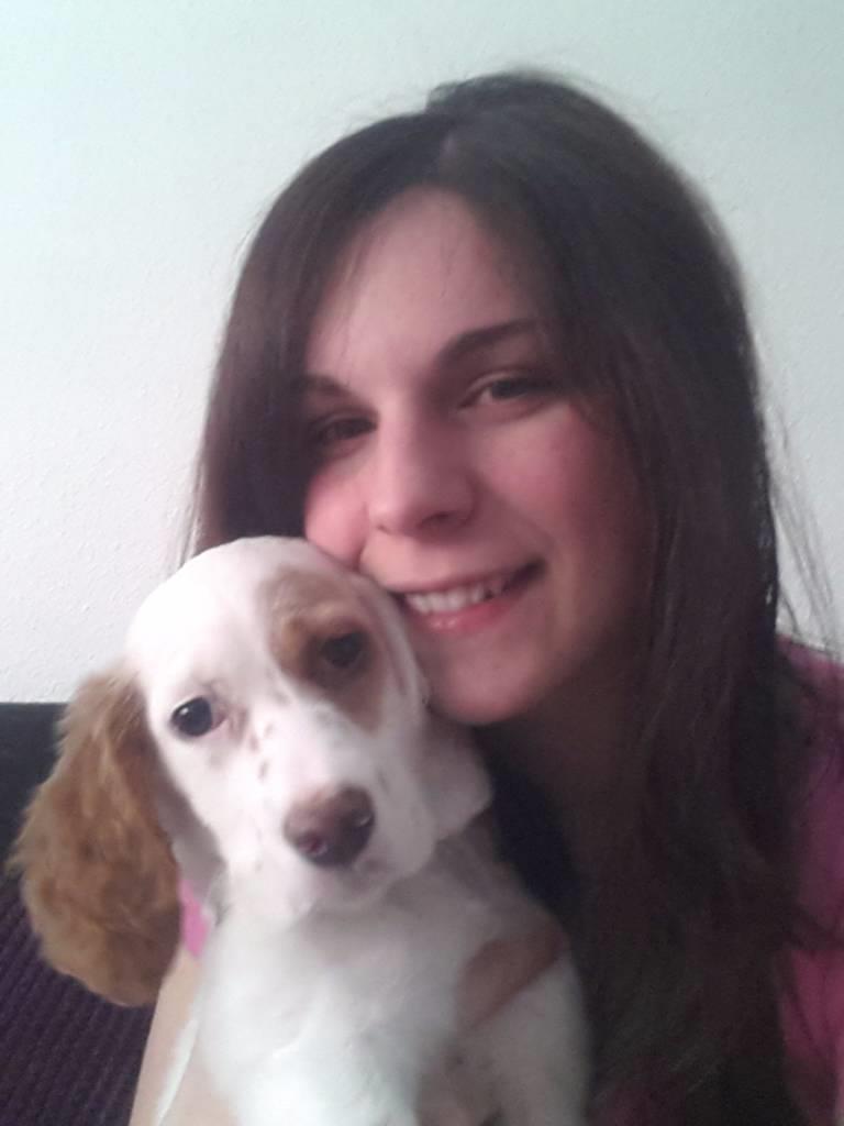 residencia-canina vi lara 8392e9f0-1d42-4159-a355-531746c37ea0