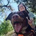 residencia-canina b marta 598109da-fe58-4dc3-bdad-24d805c1af24
