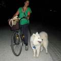 https://es.holidog.com/ImagesPetSitters/73D6B69C-6439-412A-B351-B3CF21927E90_square_120.jpg Adiestradora-y-Auxiliar-Veterinaria-52928-1