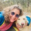 petsitter stranger
