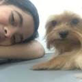 Nanny-Dog/Cuidadora-en-Madrid-137389-2