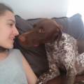 https://es.holidog.com/ImagesPetSitters/77D0E70A-893B-4668-9D79-C751285D38C9_square_120.jpg Mi-pasión-89874-1