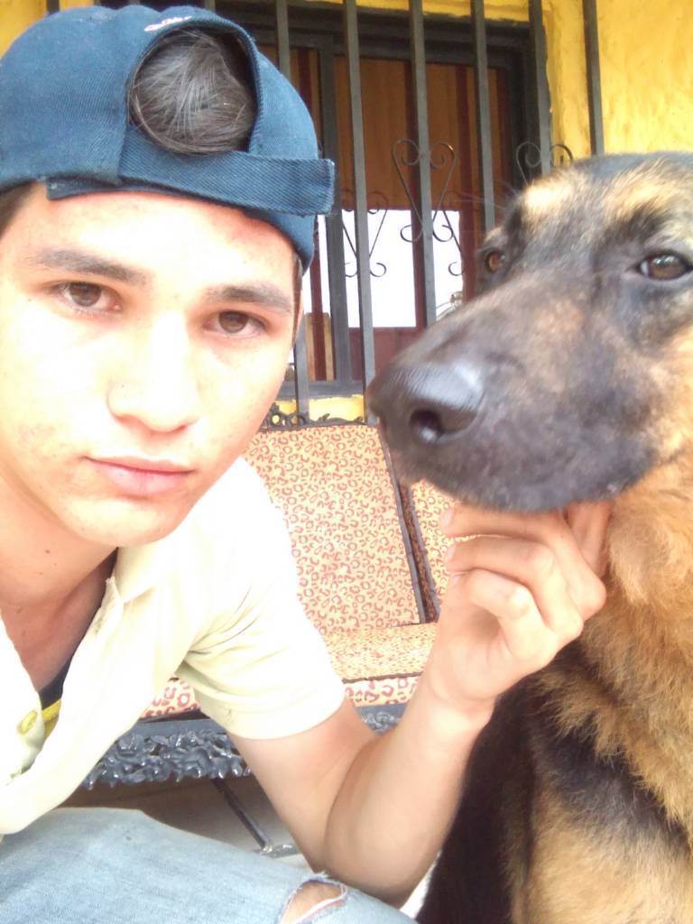 residencia-canina m carlos  36ade540-37db-4421-8187-0f0e44884c24