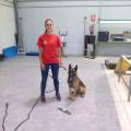 https://es.holidog.com/ImagesPetSitters/80112F9D-B0C0-42B7-9E5E-376D69038EA6_square_120.jpg Todo-para-su-mascota-75600-2