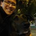 Cuidado-de-perros,-gatos,-mascotas.-249258-3