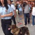 https://es.holidog.com/ImagesPetSitters/849046C0-9AB3-41F0-987B-568A51CCD829_square_120.jpg Testinde-ilk-kez-ben-varsın-244982-2