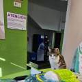 Cuidar,-proteger-y-mejorar-la-vida-253373-0