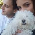 https://es.holidog.com/ImagesPetSitters/886272F3-7B79-4C37-BAF3-661D1D125DC9_square_120.jpg Perros-Parque-129864-0